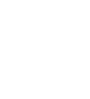 Topcon Solutions Store Logos (Digital)
