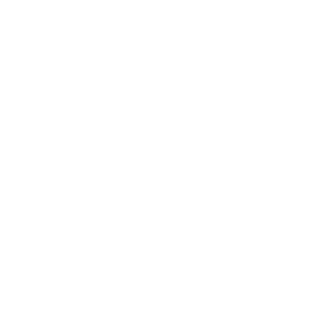 Topcon Solutions Store Logos (Digital)