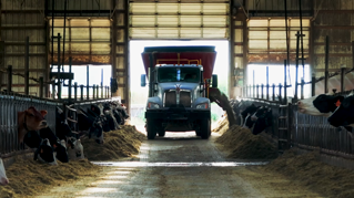 TAP FEED Pro and FD1 - Mystic Valley Dairy