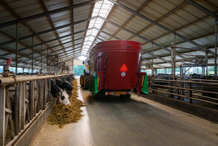 TAP FEED FD1 (NL) - #04