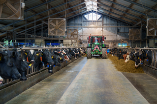 TAP FEED FD1 (NL) - #14
