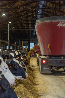 TAP FEED Pro and FD1 - Mystic Valley Dairy - (01)