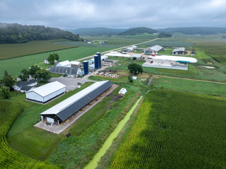 TAP FEED Pro and FD1 - Mystic Valley Dairy - (12)