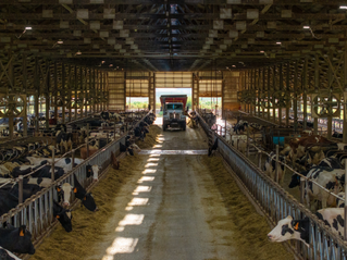 TAP FEED Pro and FD1 - Mystic Valley Dairy - (14)