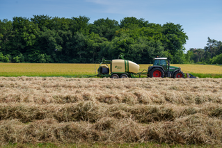 Value Line Fendt 716 (NL) - #01
