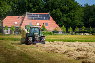Value Line Fendt 716 (NL) - #02
