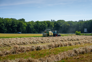Value Line Fendt 716 (NL) - #05